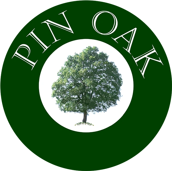 Pin Oak